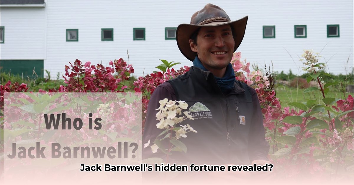 jack-barnwell-net-worth